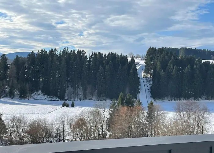 Traumhafter Bergblick Im Allgaeuer Luftkurort